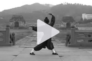 qigong-video