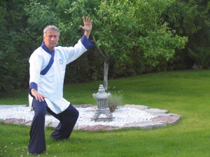 Taji Quan, Taiji, TaiChi, Tai Chi treeningud