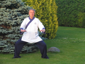 Taji Quan, Taiji, TaiChi, Tai Chi treeningud