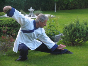 Taji Quan, Taiji, TaiChi, Tai Chi treeningud