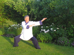 Taji Quan, Taiji, TaiChi, Tai Chi treeningud