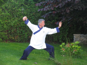 Taji Quan, Taiji, TaiChi, Tai Chi treeningud