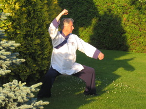 Taji Quan, Taiji, TaiChi, Tai Chi treeningud