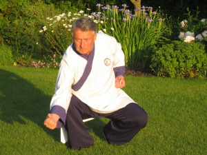 Taji Quan, Taiji, TaiChi, Tai Chi treeningud