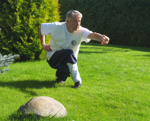 LiangYi treeningud, WuShu treeningud